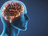 فهم العقل الغربي على ضوء أعباء الماضي وتحديات الحاضر